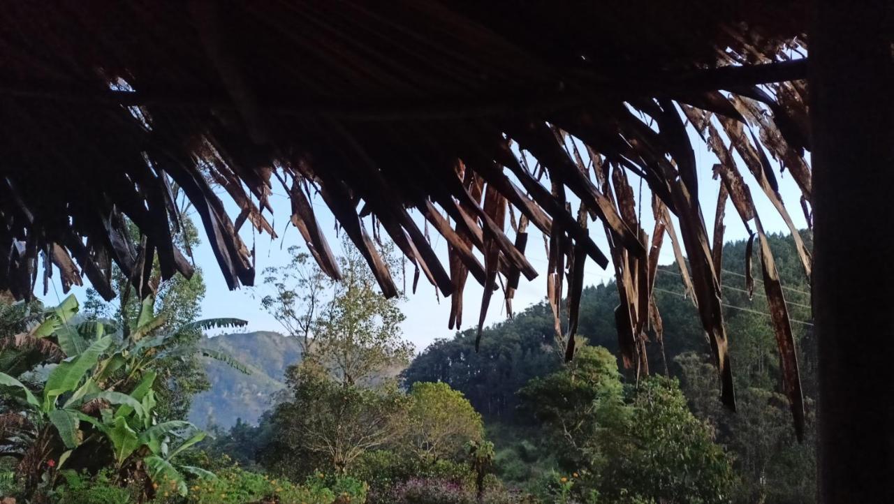 Freedom Camp Ella酒店 外观 照片