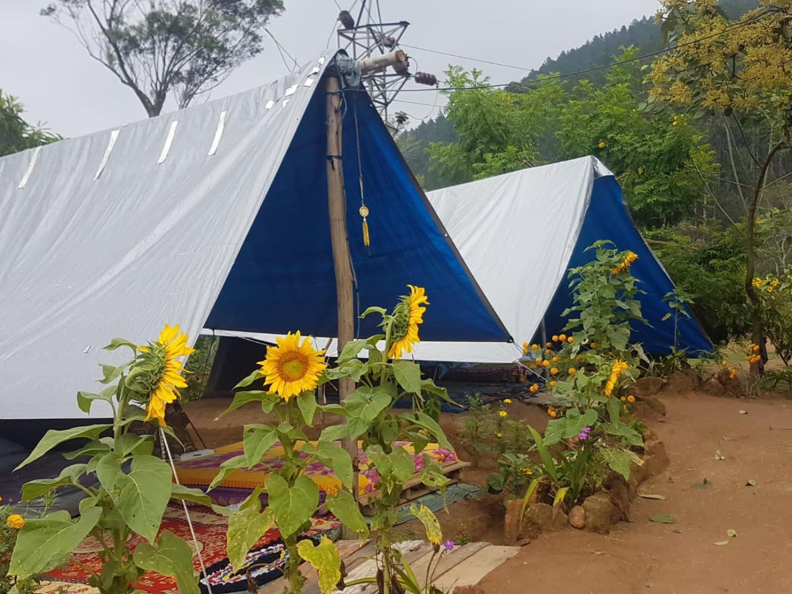 Freedom Camp Ella酒店 客房 照片