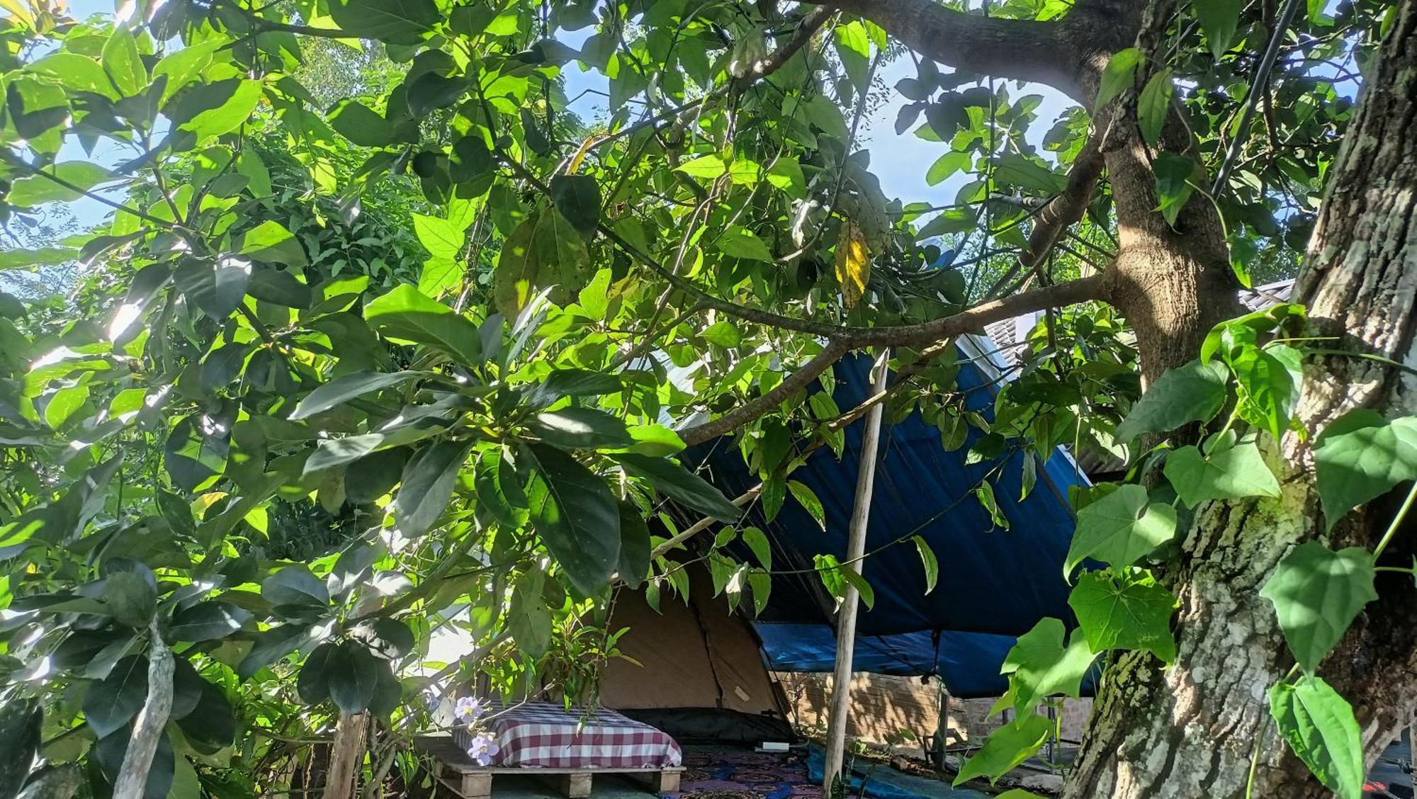 Freedom Camp Ella酒店 外观 照片
